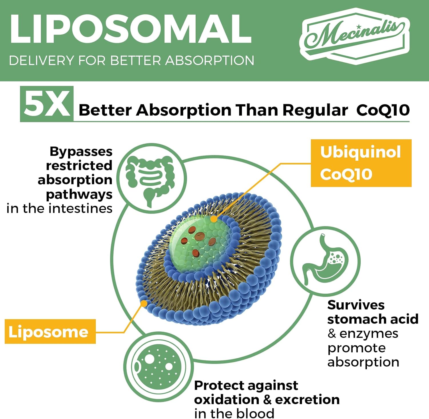 Liposomal CoQ10 - Fuel Every Hearbeat